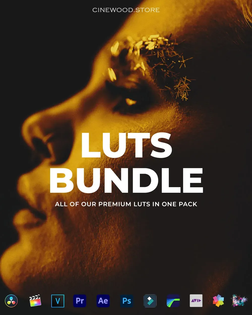 LUTS Bundle