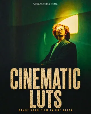 Cinematic color grading LUTs for Premiere DaVinci | film look one click grade | Cinewood.store
