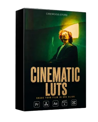 Cinematic color grading LUTs for Premiere DaVinci | film look one click grade | Cinewood.store