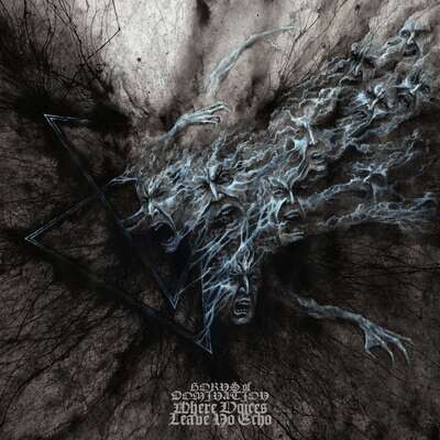 HORNS OF DOMINATION - Where Voices Leave No Echo LP