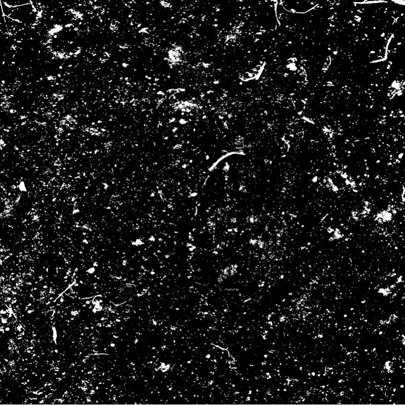 SERPENTHANAS - Death&#39;s Essence LP
