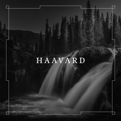 HAAVARD - Haavard DLP BLACK