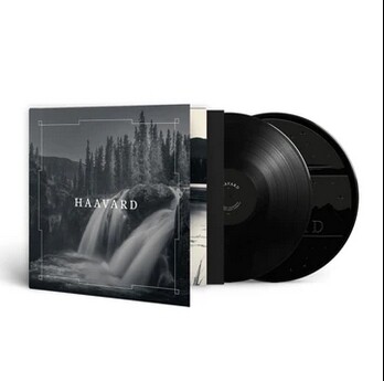 HAAVARD - Haavard DLP BLACK