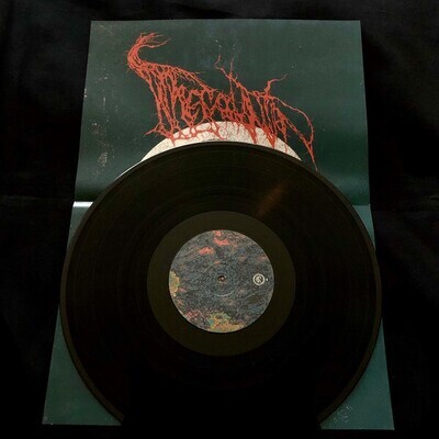 THECODONTION - Supercontinent LP