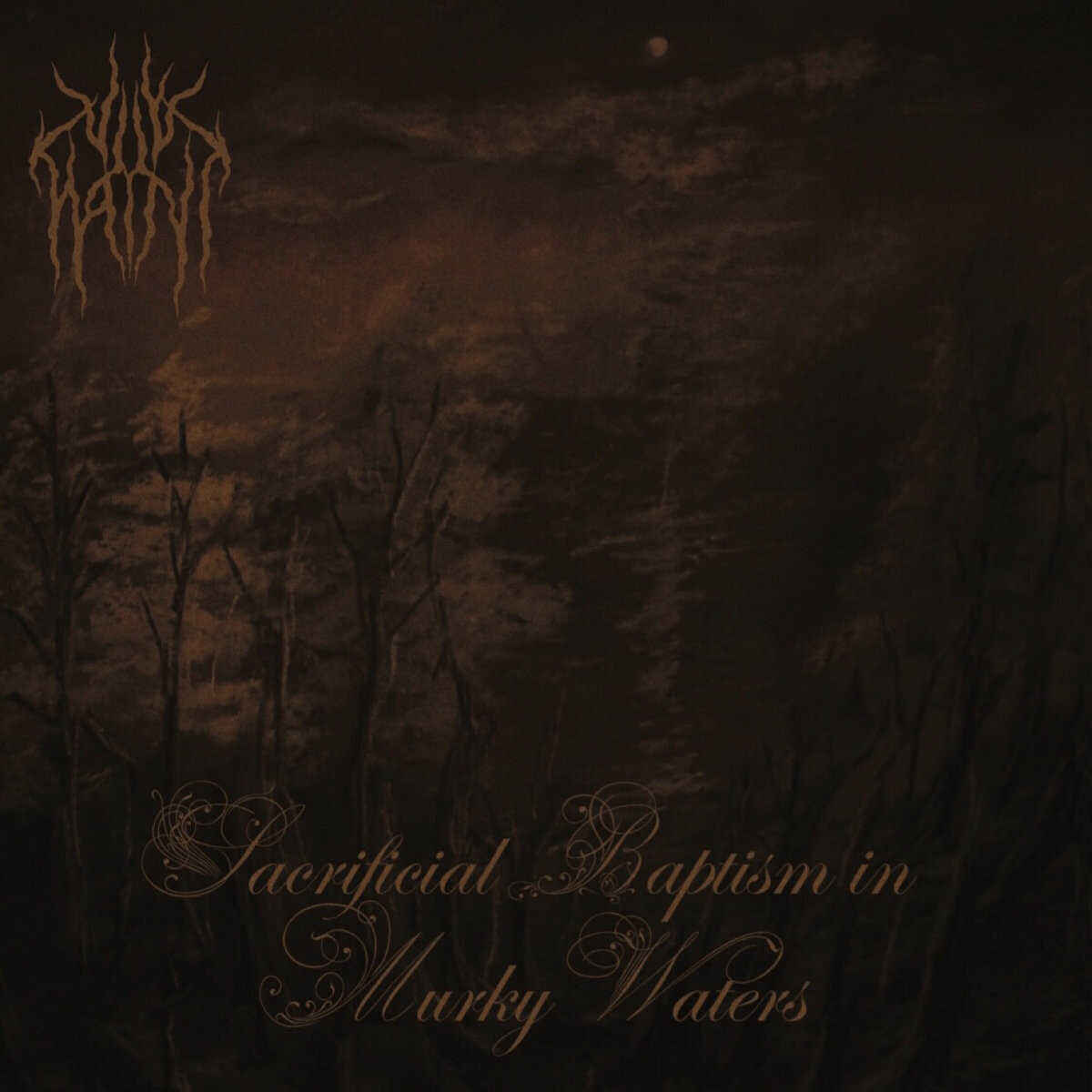 VILE HAINT - Sacrificial Baptism in Murky Waters LP