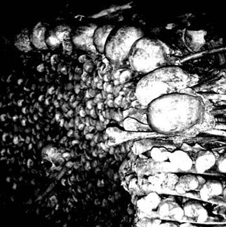 BLACK BLOOD - Cryptic Rituals CD