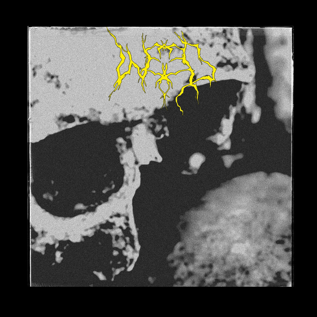 WEED - Chaos TAPE