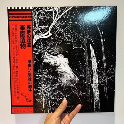 SANGUINE RELIC - Labyrinth Of Nightmares LP BLACK
