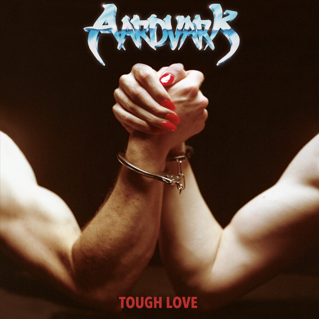 AARDVARK - Tough Love LP