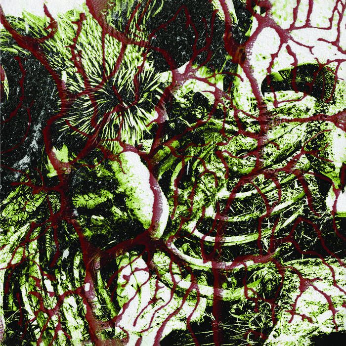 TORTURERS LOBBY - Deadened Nerves LP