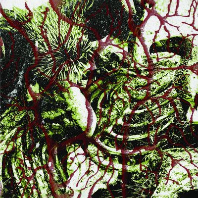 TORTURERS LOBBY - Deadened Nerves LP