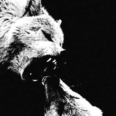 Черновство - Порядок LP