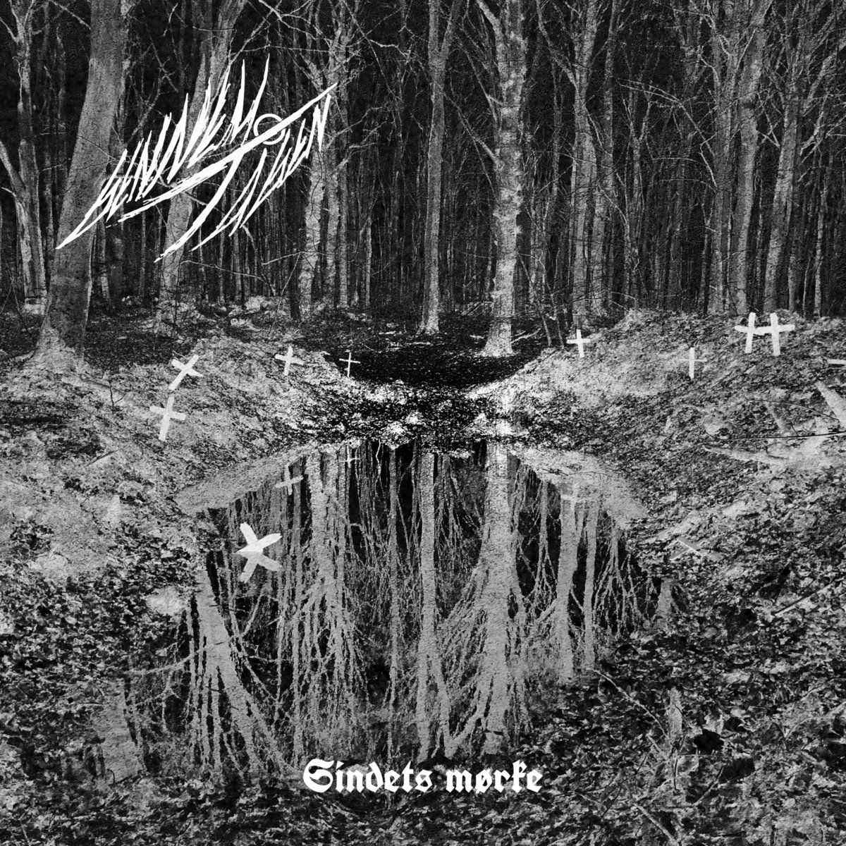 GENNEM TÅGEN - Sindets Mørke LP