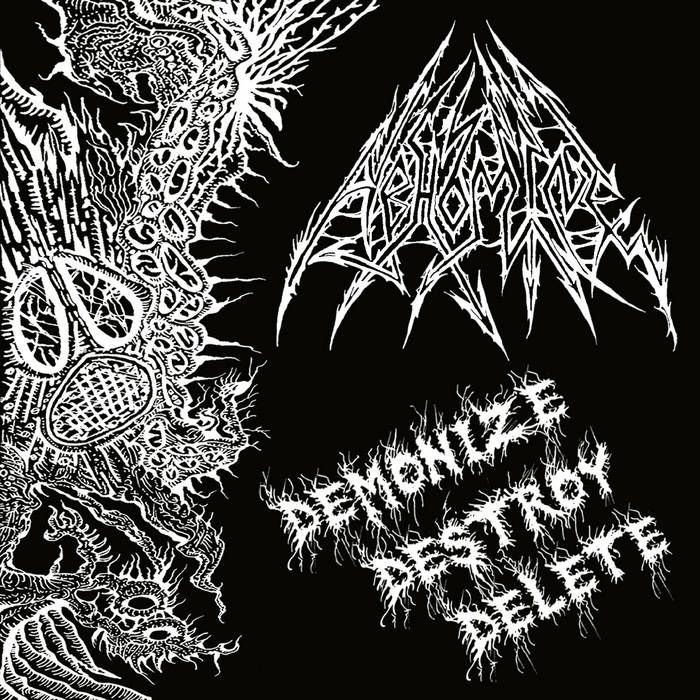 ABHOMINE - Demonize Destroy Delete LP