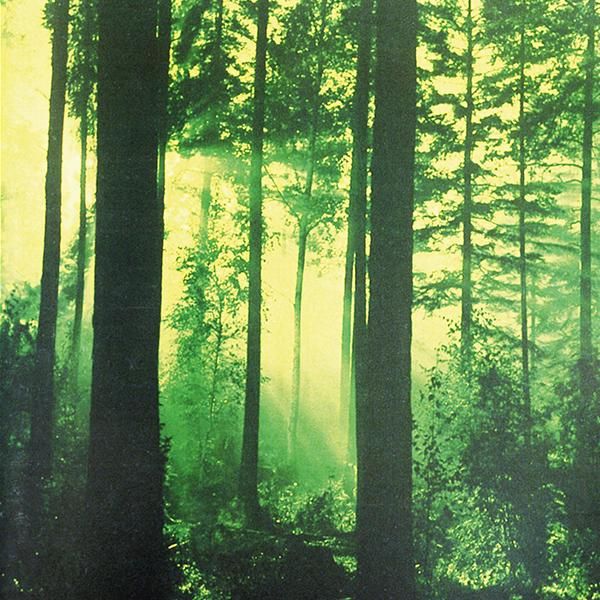 THY SERPENT - Forests Of Witchery LP