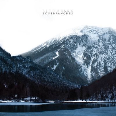 BLOODBARK - Bonebranches LP BLUE GALAXY