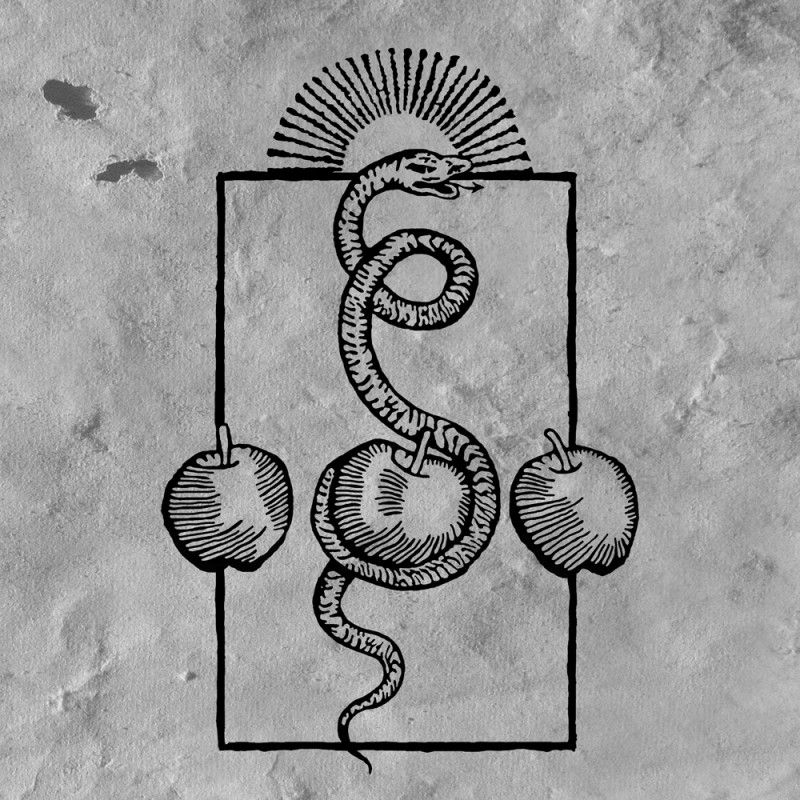 DARVAZA - We Are Him LP BLACK (PRE-ORDER)