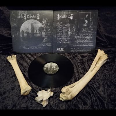INSIKT - Wanderings Through A Cursed Mind LP
