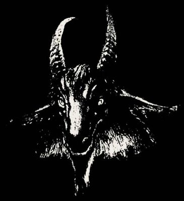 Releases by Unborn!