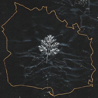 IN TWILIGHT'S EMBRACE - Lawa LP AMBER