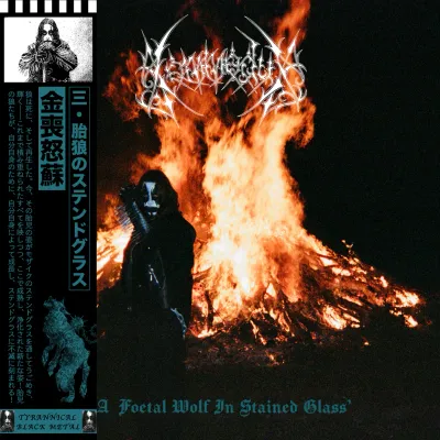 KOMMODUS - A Foetal Wolf in Stained Glass Gatefold 2xLP