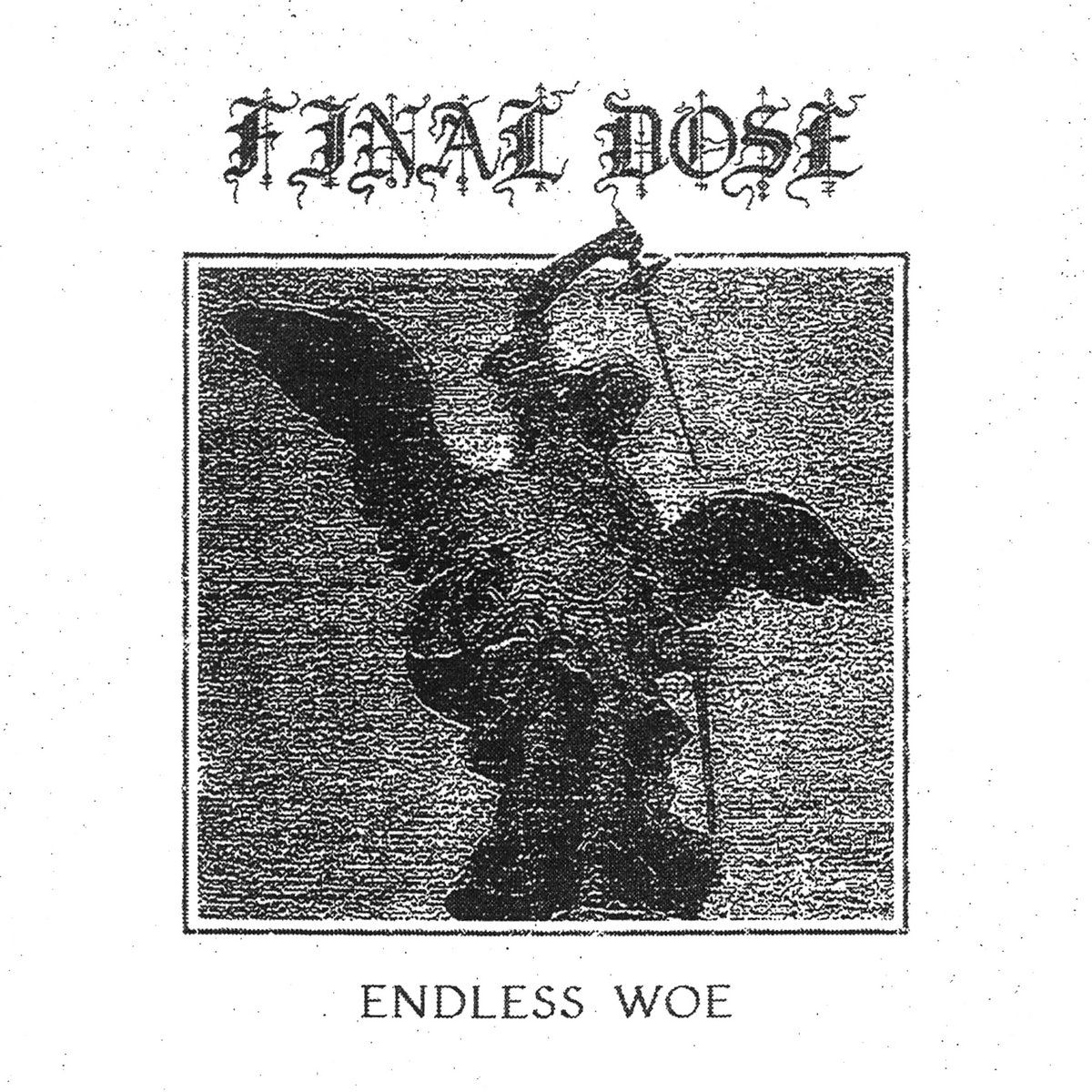 FINAL DOSE - Endless Woe LP (PRE-ORDER)
