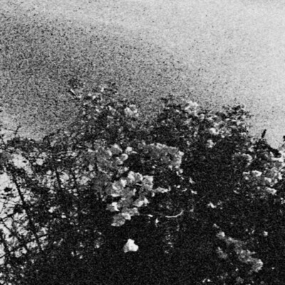 TRHÄ - Edënohhdlha Hálgra tu Majtranlh'ha LP