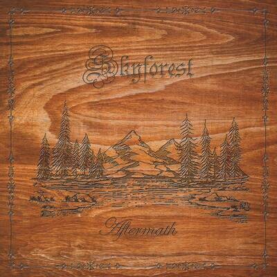 SKYFOREST - Aftermath LP