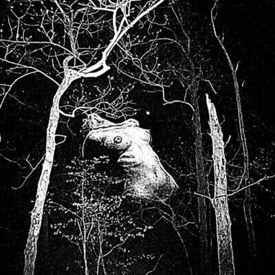 SANGUINE RELIC - Labyrinth Of Nightmares LP BLACK