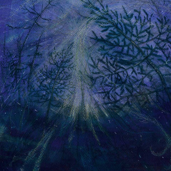 TETRASIGIL - Forest Storm LP (PRE)