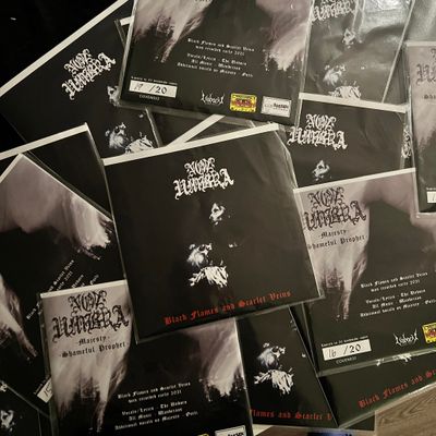 NON UMBRA - Black Flames and Scarlet Veins 8"EP