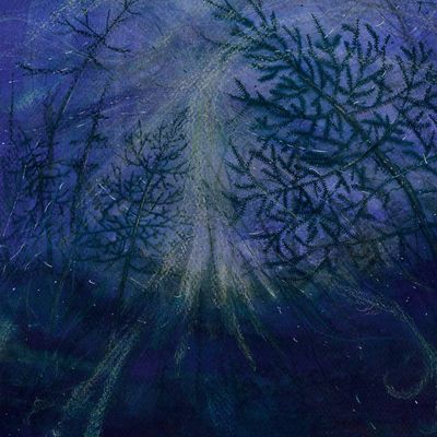 TETRASIGIL - Forest Storm LP