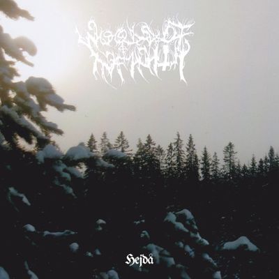 WOODS OF INFINITY - Hejdå 2xLP