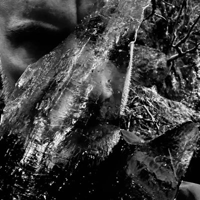 TAAKE - En Skog av Nidstang LP