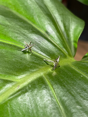 Second Star Earrings