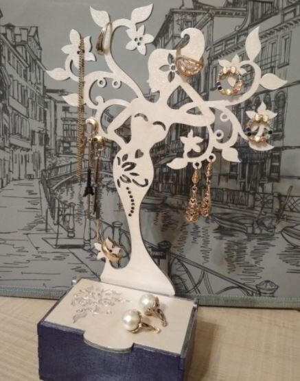 Vector de Organizador de Joyas