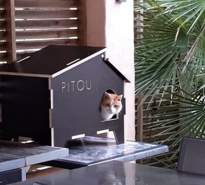 ​Vector de Casa Gato