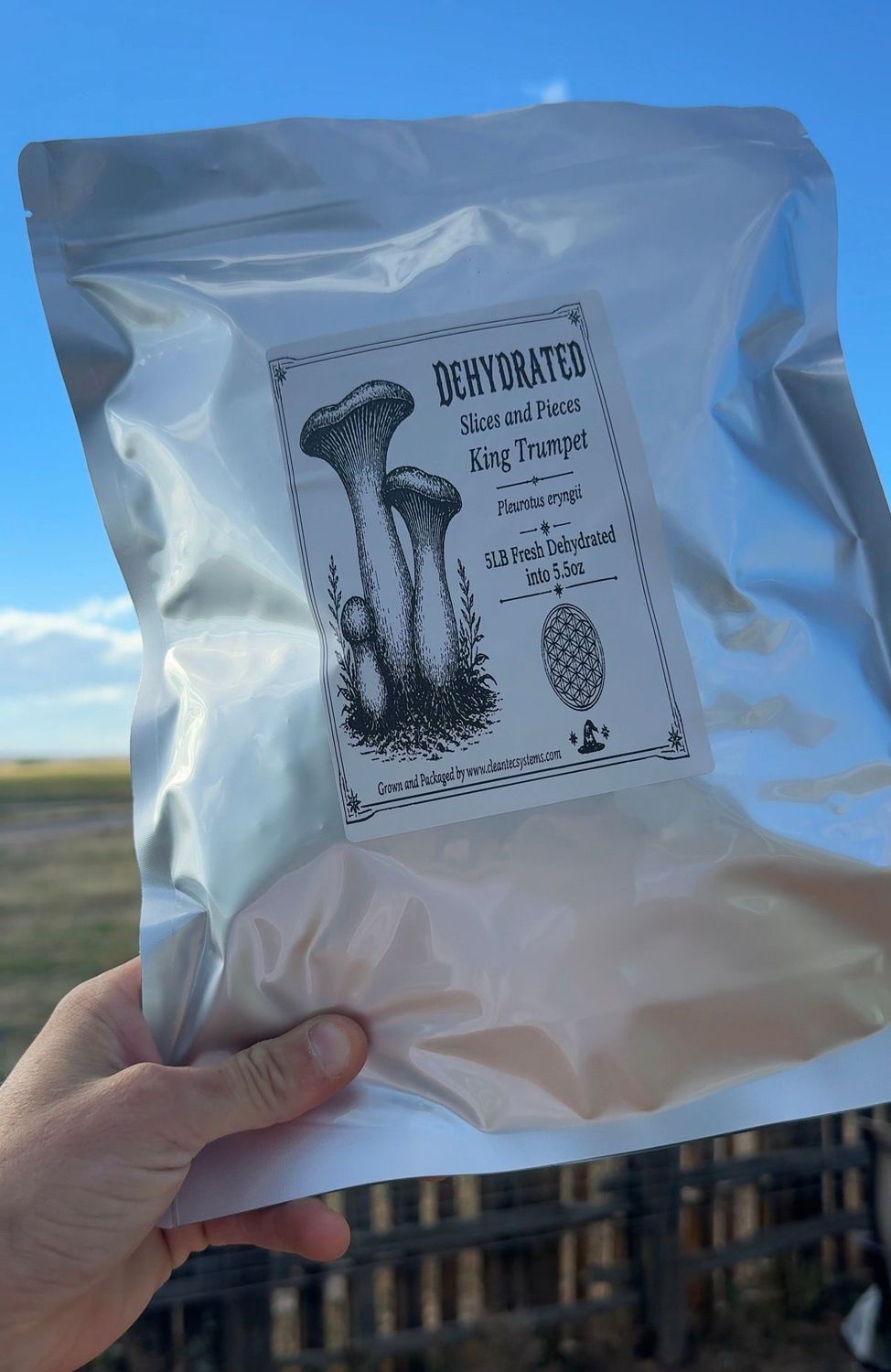 5LB of King Trumpet - Dehydrated 5LB of King Trumpet - Dehydrated