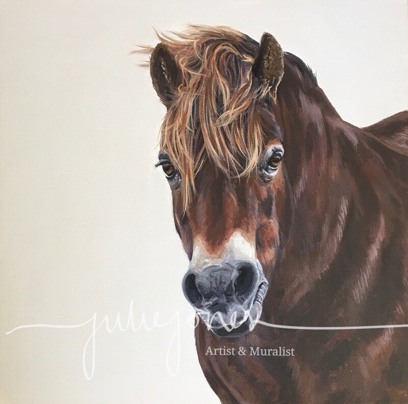 ‘Exmoor pony’ fine art print