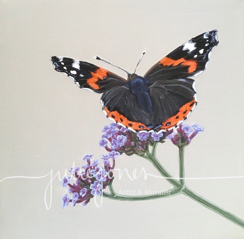 ‘Red admiral’ fine art print