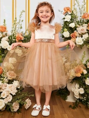 Girls Sequin and Mesh Dress