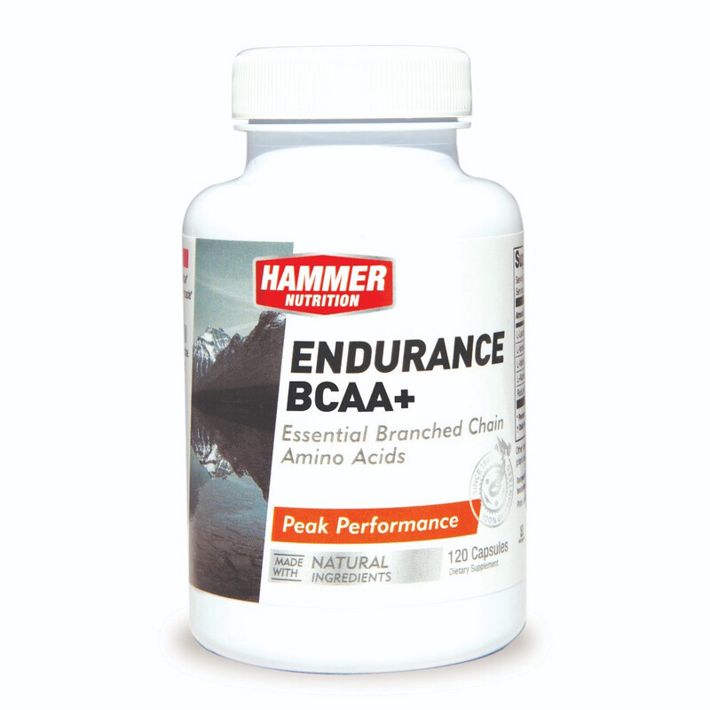 Hammer Endurance BCAA+ (120 caps)