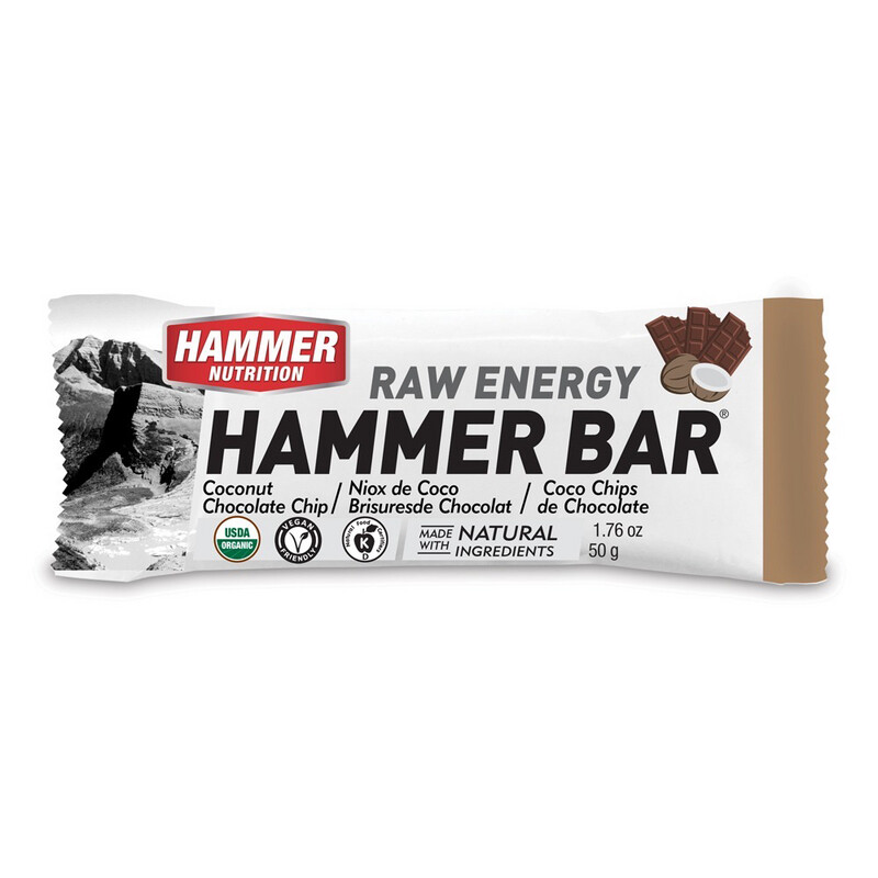 Hammer Food Bar (1 box of 12 Single Pack)
