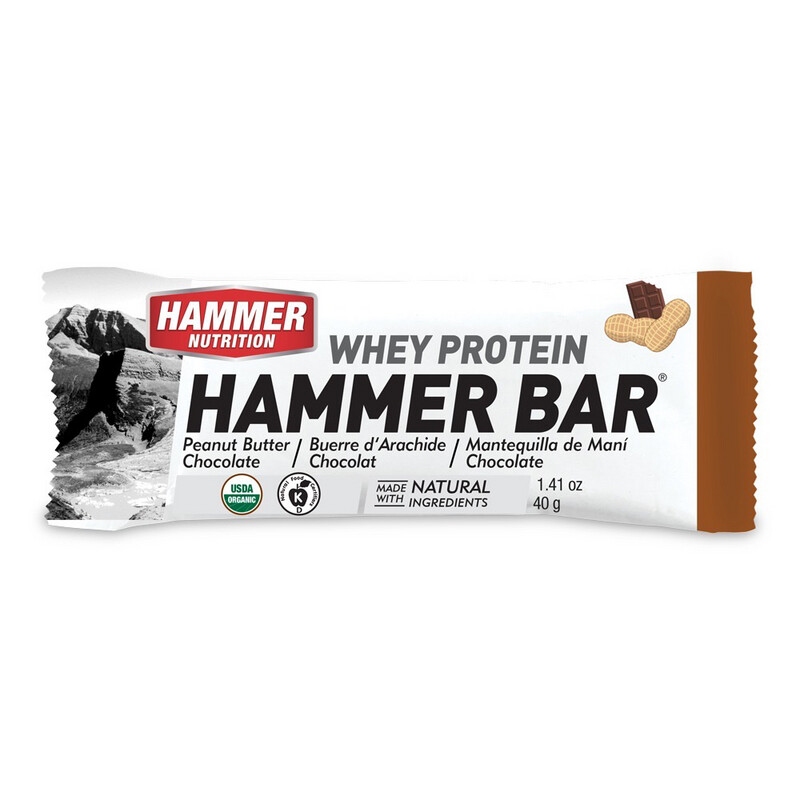 Hammer Whey Protein Bar (1 box of 12 Single Pack)