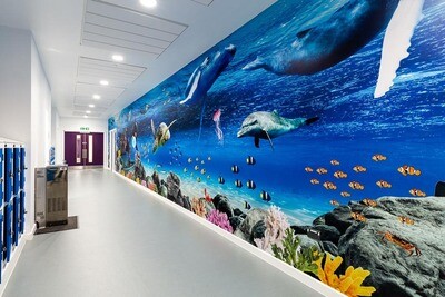 Wonderwalls