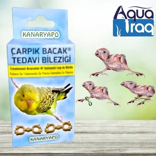 حجل تقويم أرجل طيور الحب (10 ازواج)