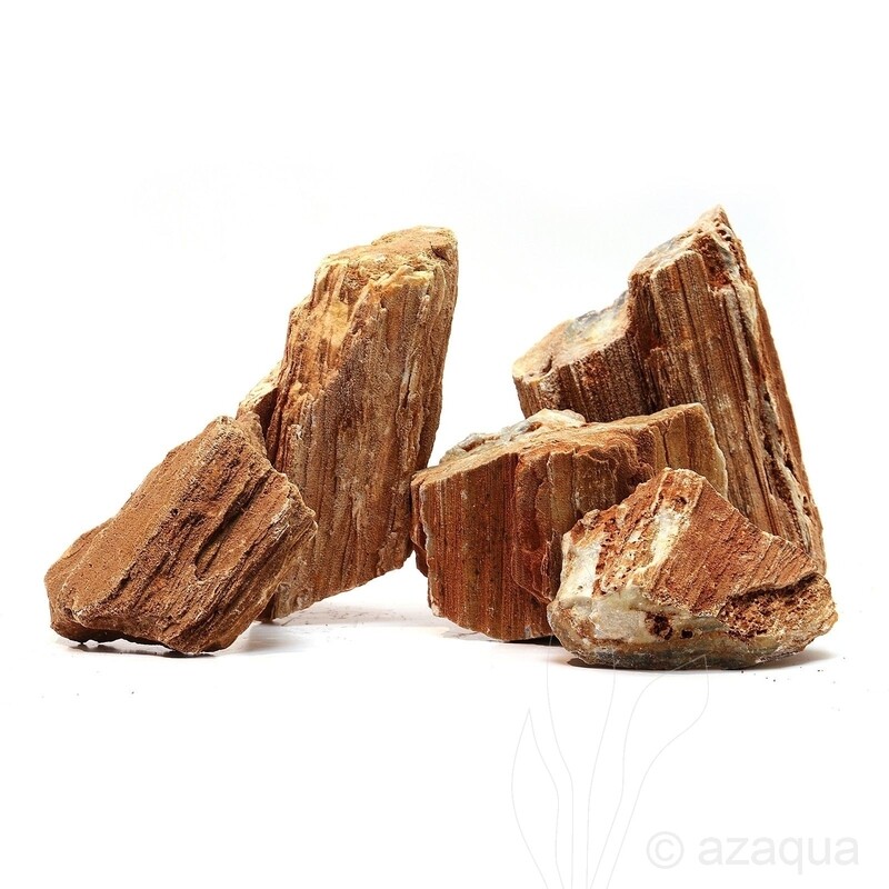 حجر وود فوسل 1 كغم