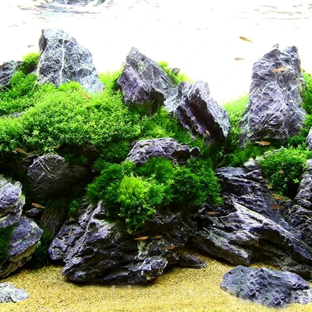 حجر بلو دراجون ستون1 كغم