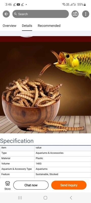 ديدان بارلي انسيكت سن سن 140غم مقسم لاكياس صغيرة