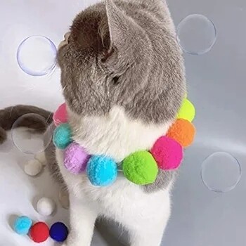 طوق ملون اسفنجي